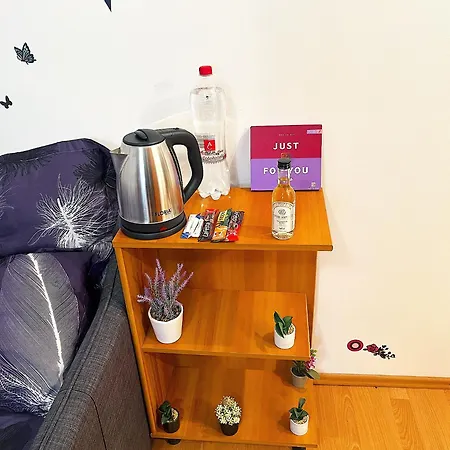 דירה Casa Andu Piata Alba Iulia