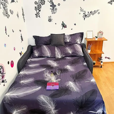 Casa Andu Piata Alba Iulia Apartman