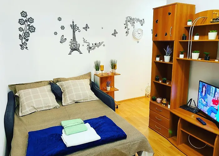 Casa Andu Piata Alba Iulia Apartament *