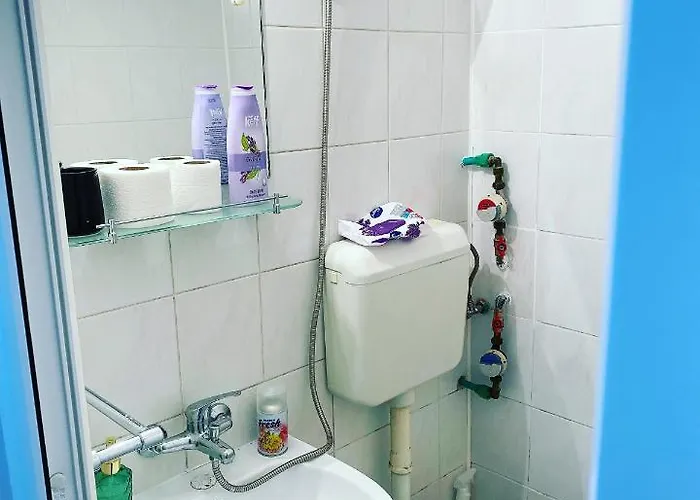 Casa Andu Piata Alba Iulia Appartement *