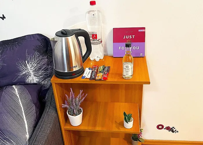 Apartament Casa Andu Piata Alba Iulia